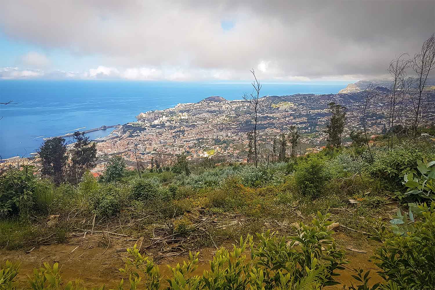 Babosas – Palheiro Ferreiro Walk