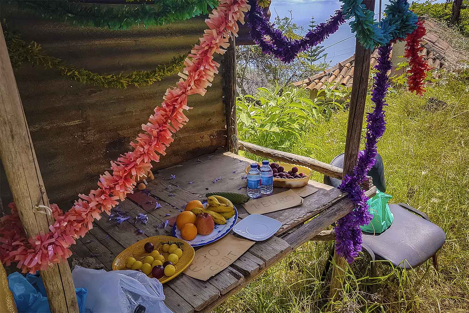 Babosas – Palheiro Ferreiro Walk