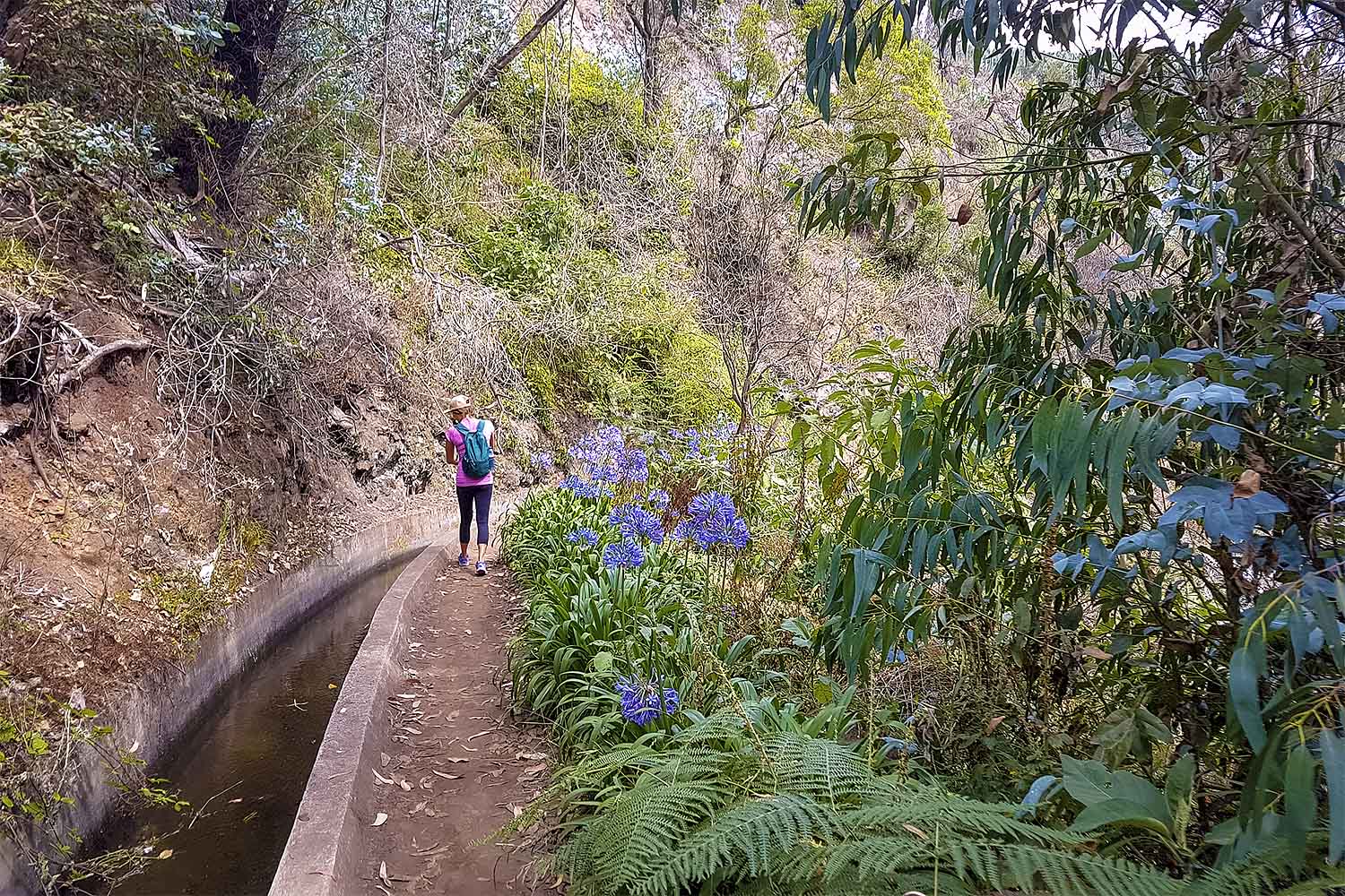 Babosas – Palheiro Ferreiro Walk