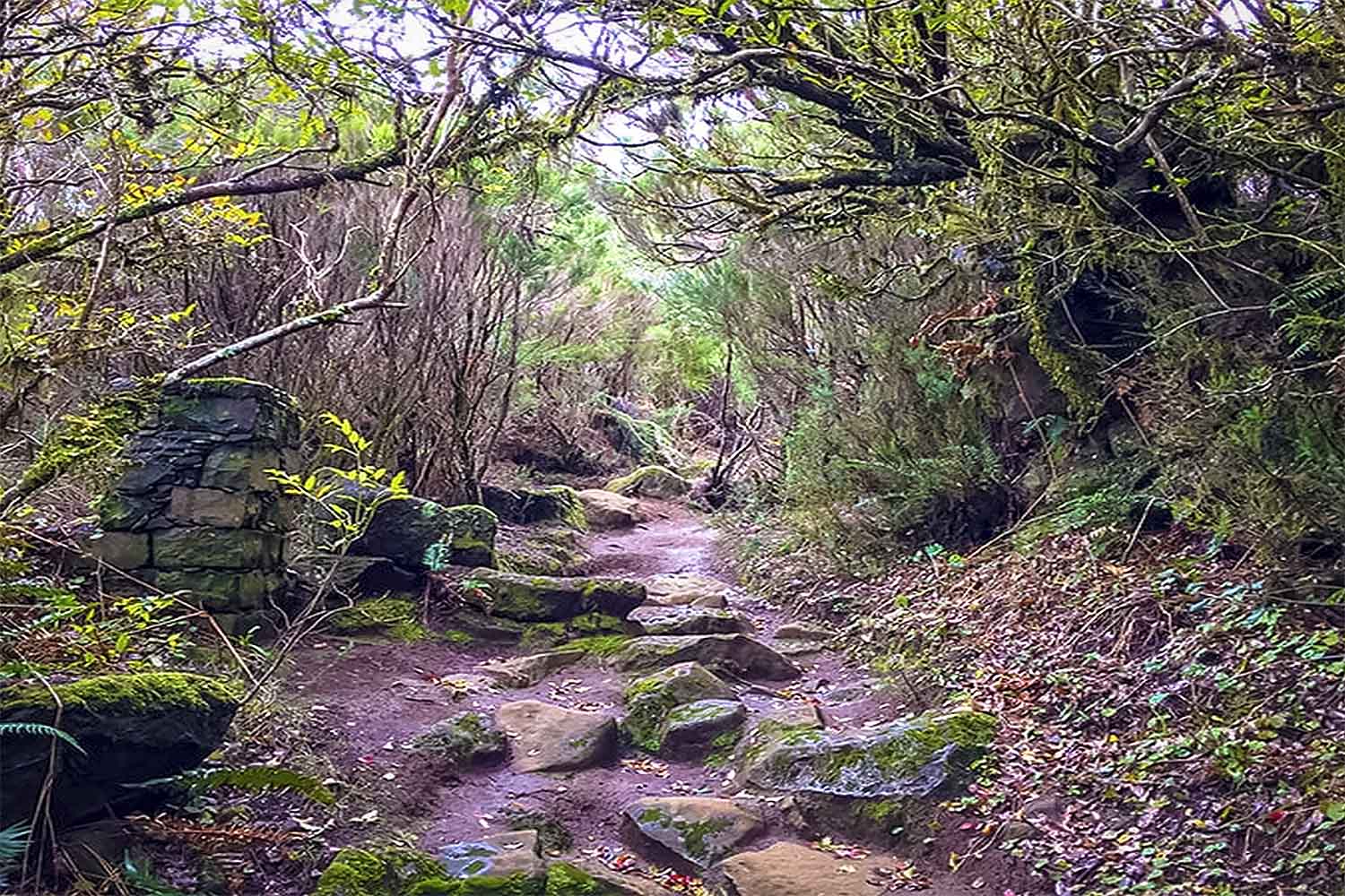 Bica da Cana – Pináculo Walk