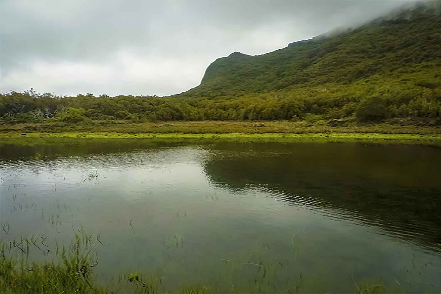 Caminho do Pináculo – Folhadal Walk