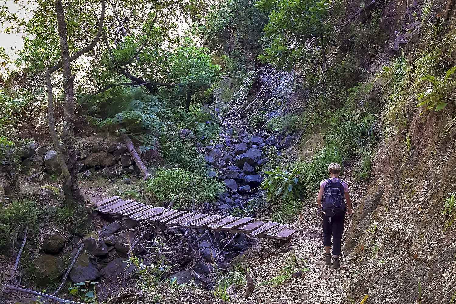 Ribeiro Frio – Portela Walk