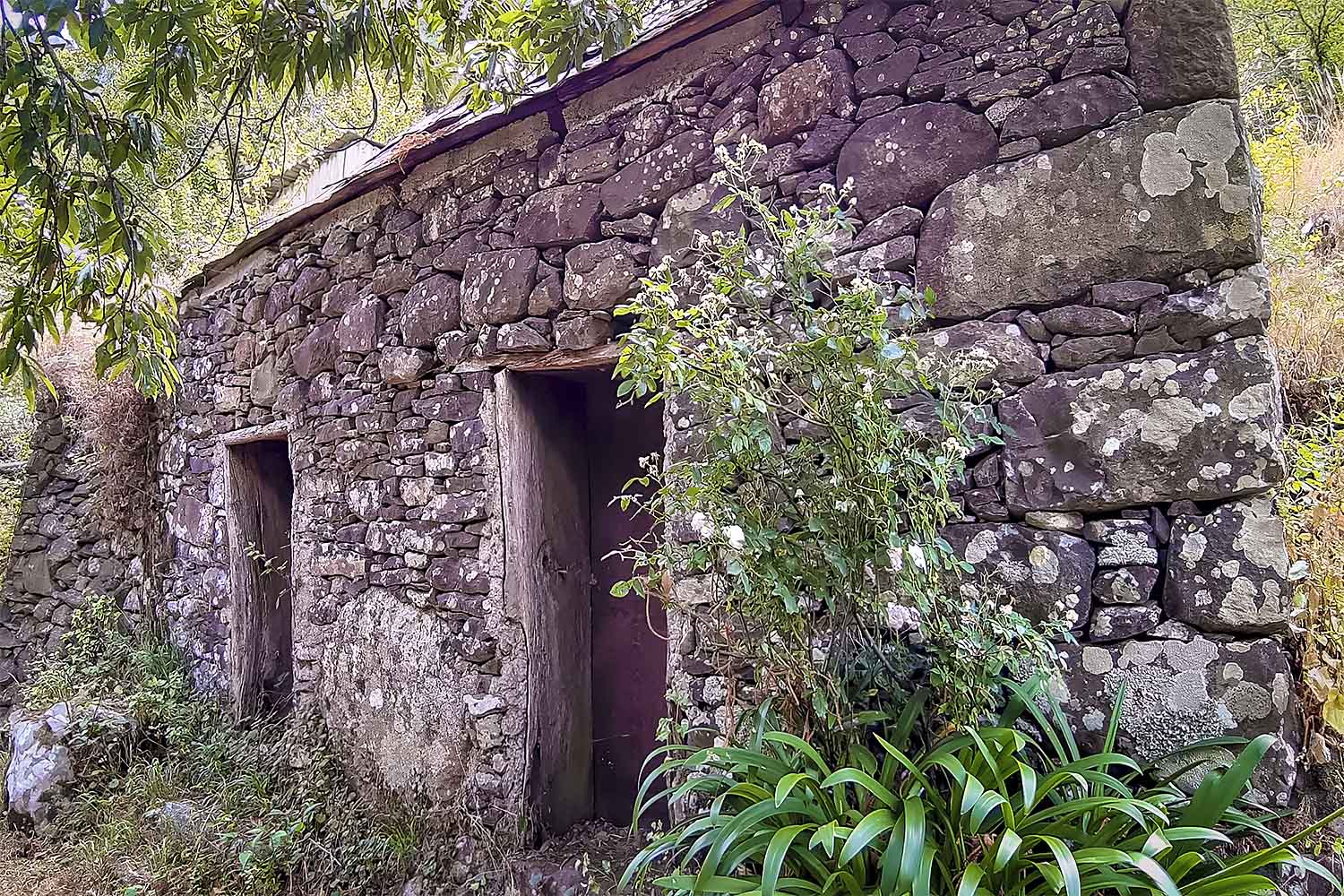 Ribeiro Frio – Portela Walk