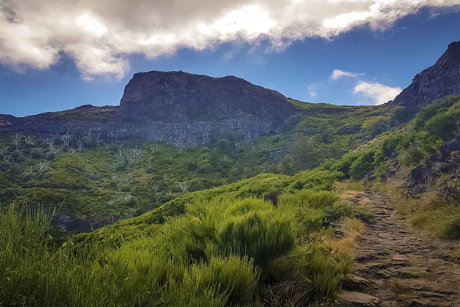 Ribeiro Frio – Portela Walk