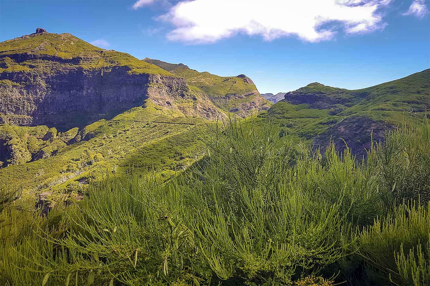 Ribeiro Frio – Portela Walk