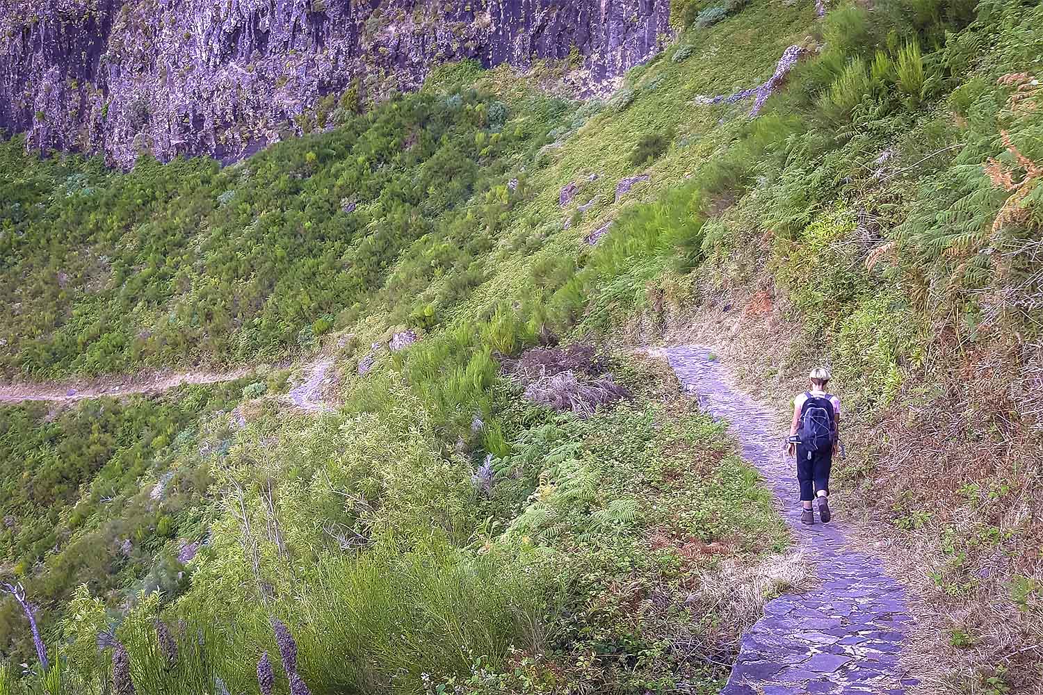 Ribeiro Frio – Portela Walk