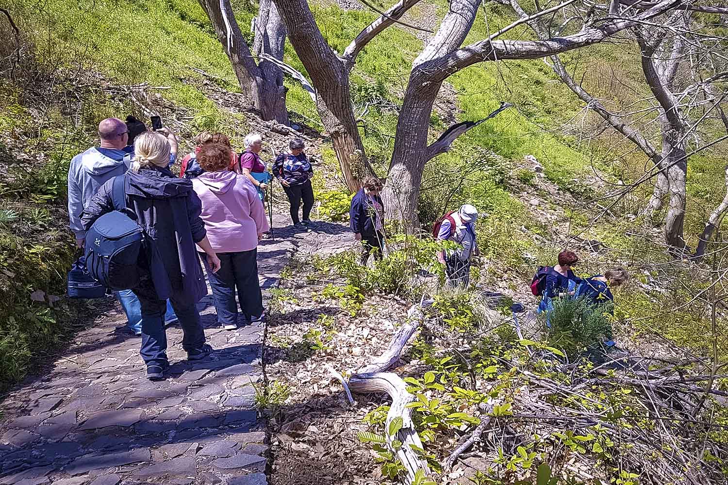 Eira do Serrado Walk