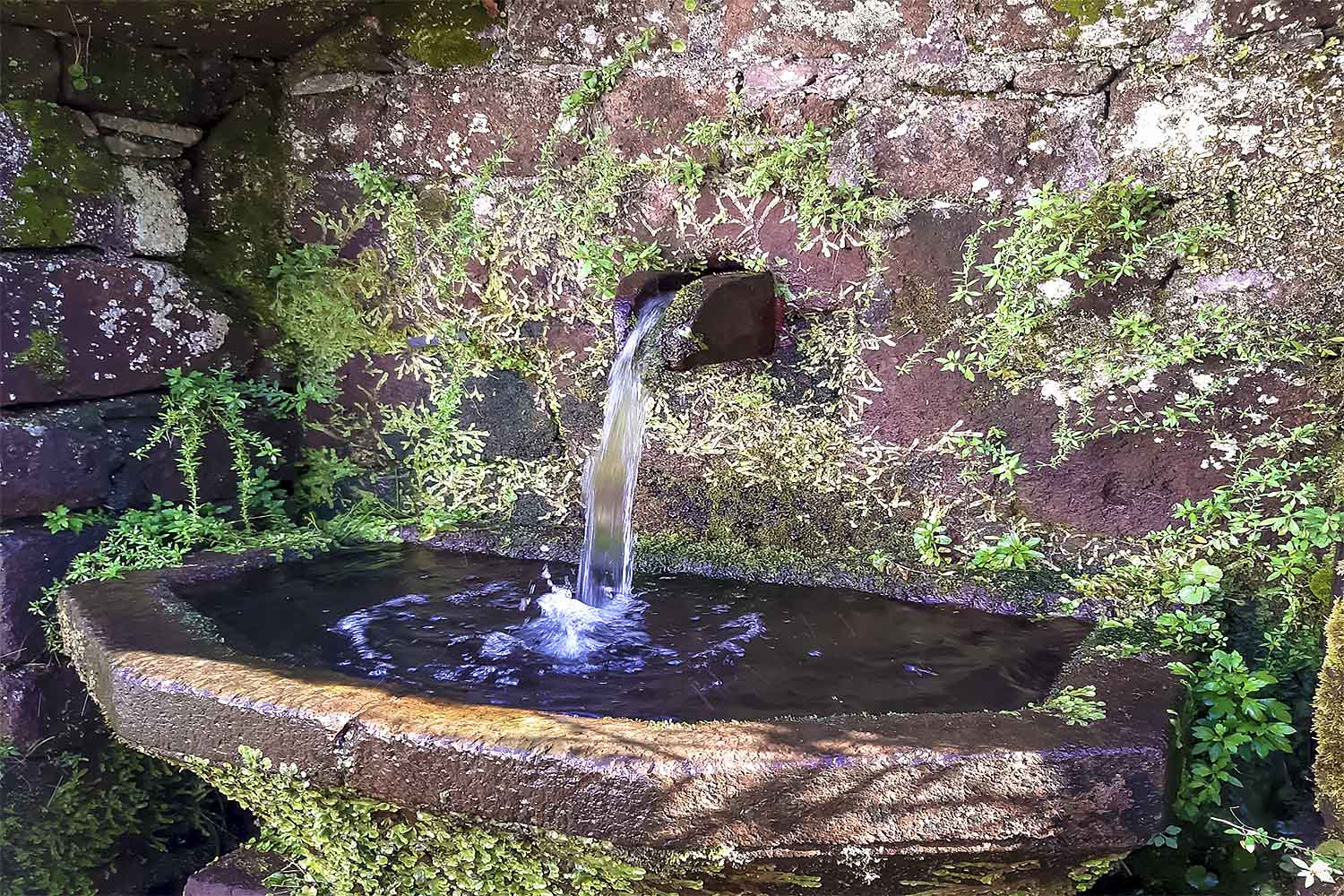 Levada 25 Fontes Walk