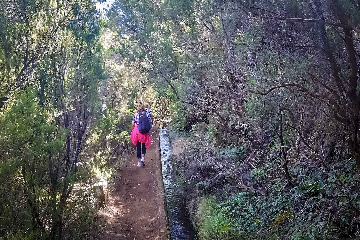 Levada Alecrim Walk