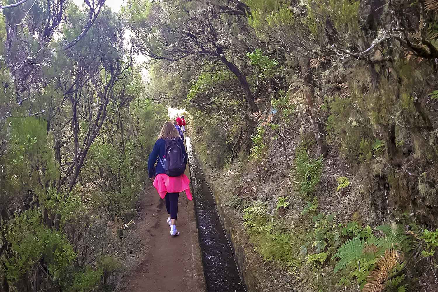 Levada Alecrim Walk