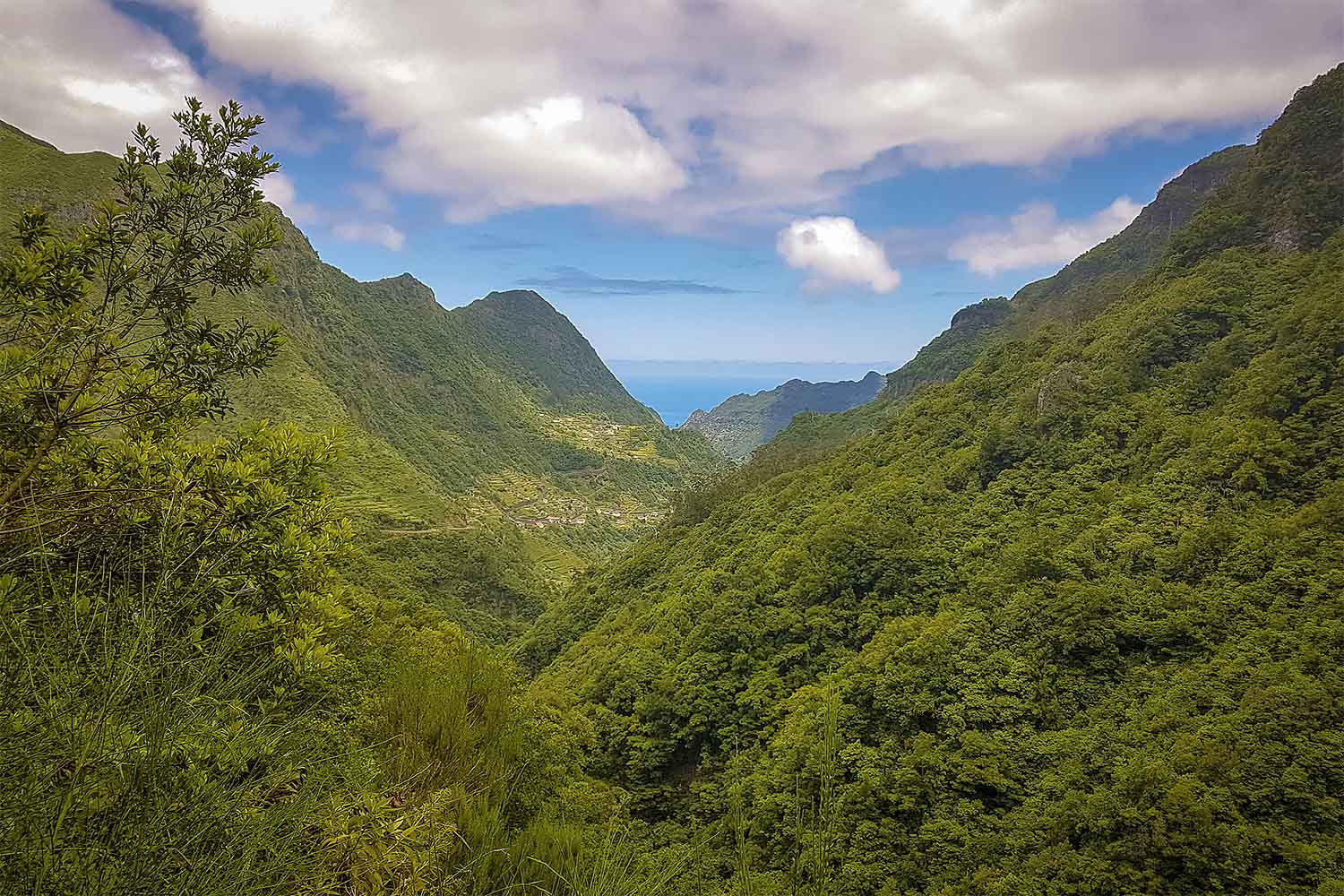 Levada Boaventura Walk