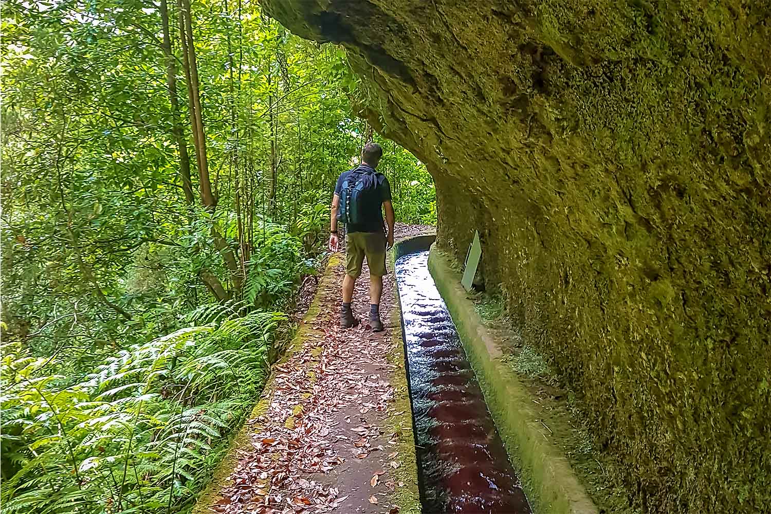Levada Boaventura Walk