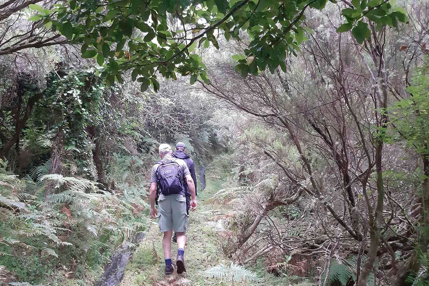 LEVADA BRASILEIRO – LEVADA DO MOINHO WALK