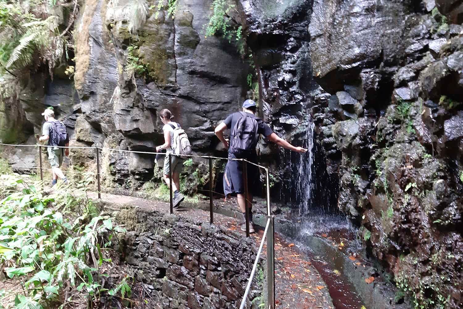 Levada Brasileiro – Levada do Moinho Walk