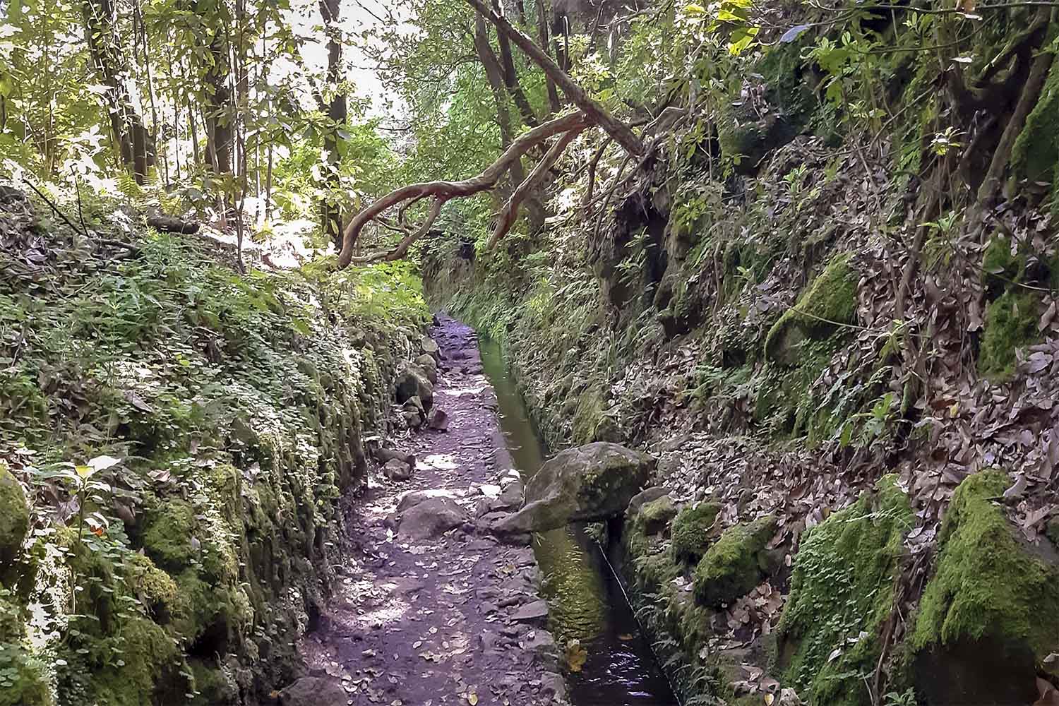 Levada Caldeirão Verde Walk