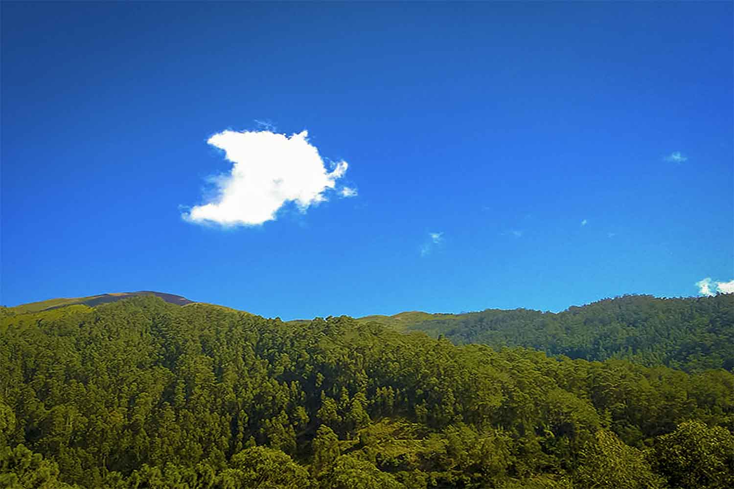 Levada Calheta – Prazeres Walk