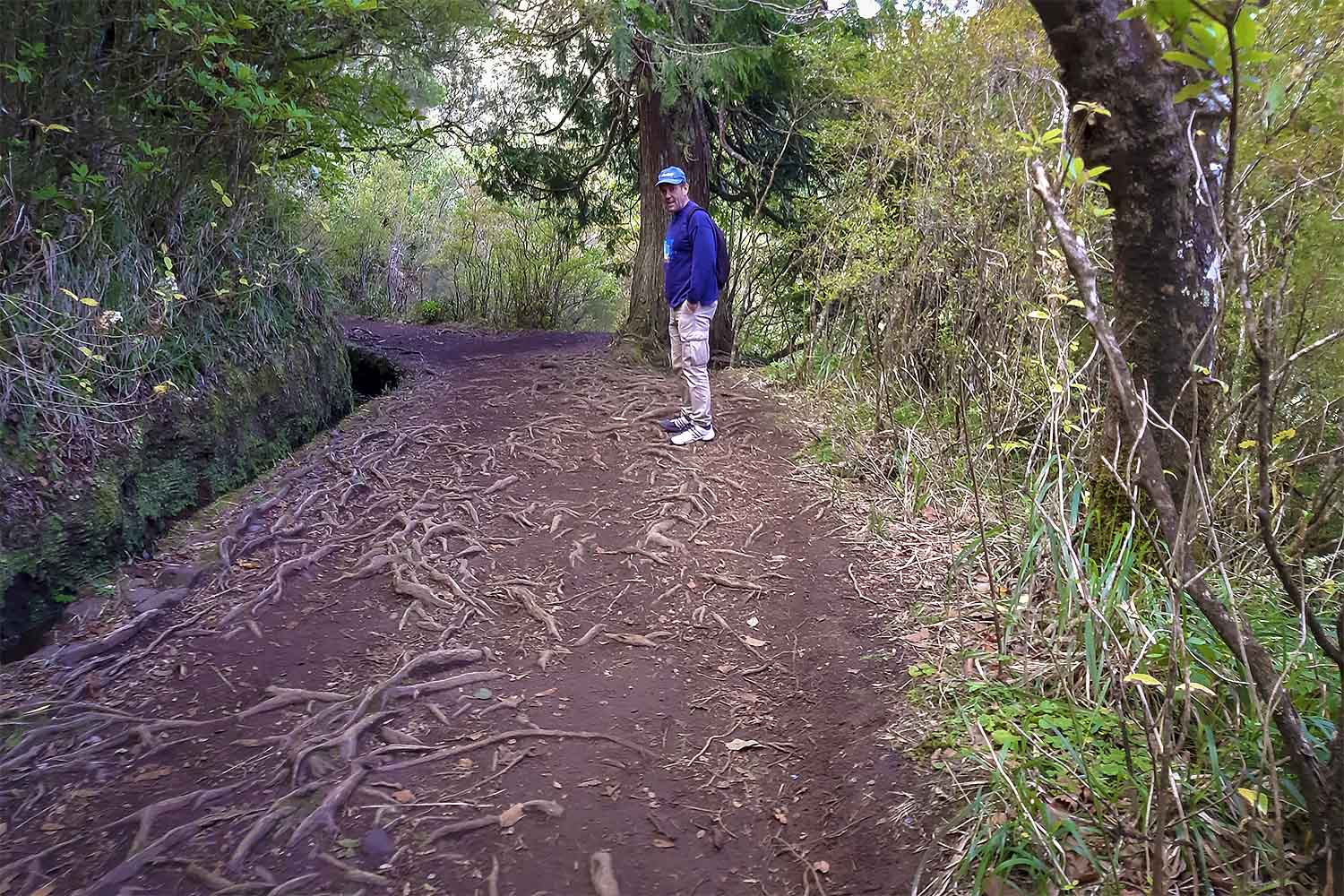 Levada Caminho para Todos Walk
