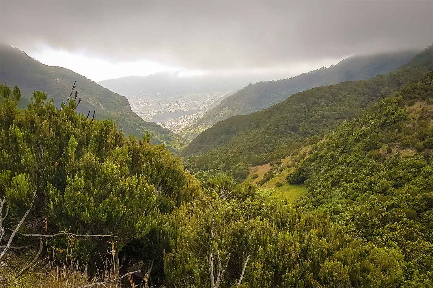 Levada Caniçal – Boca do Risco Walk