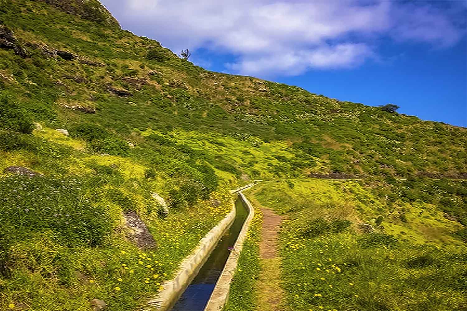 Levada Caniçal – Pico do Facho Walk
