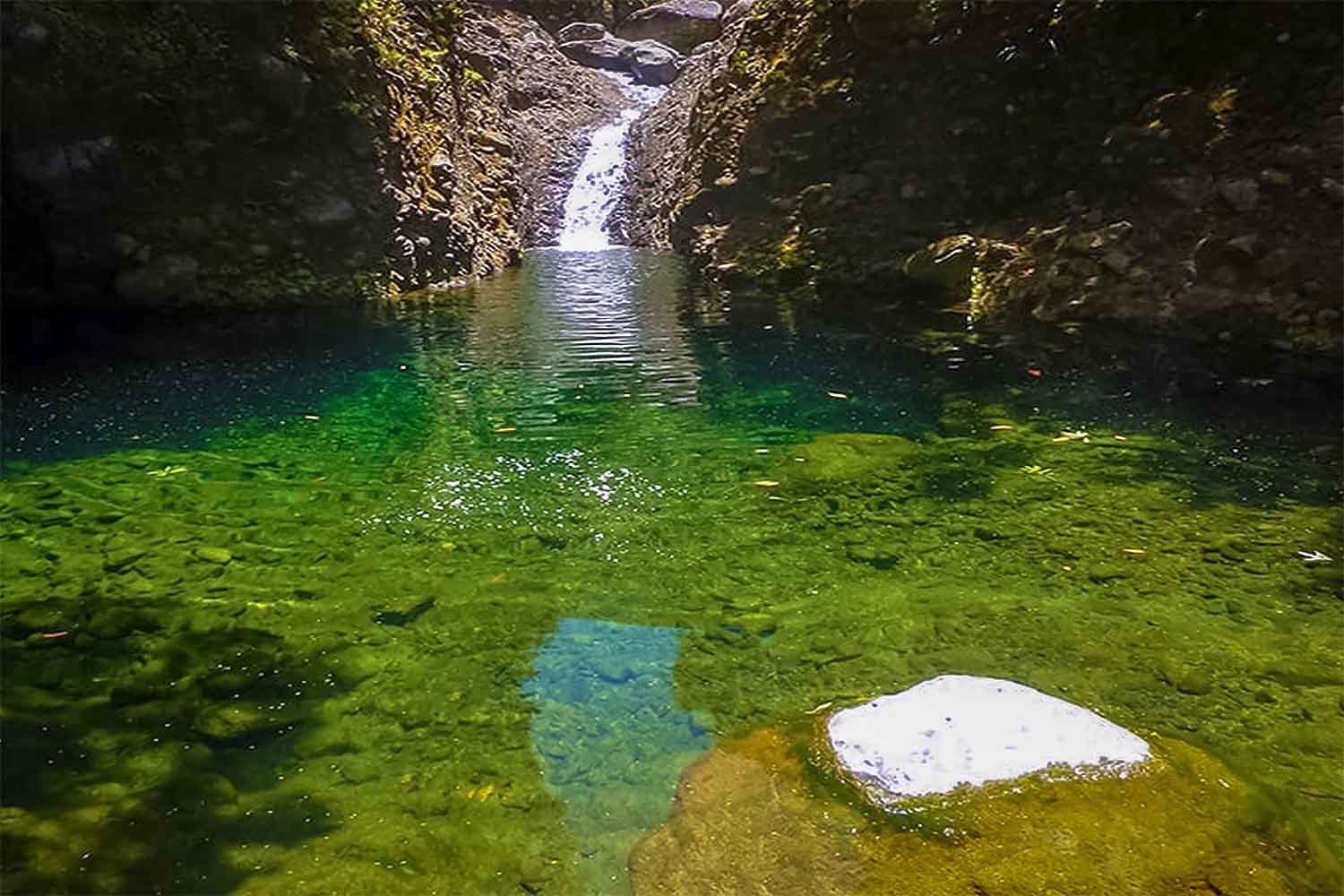 Ribeiro Frio – Portela Walk