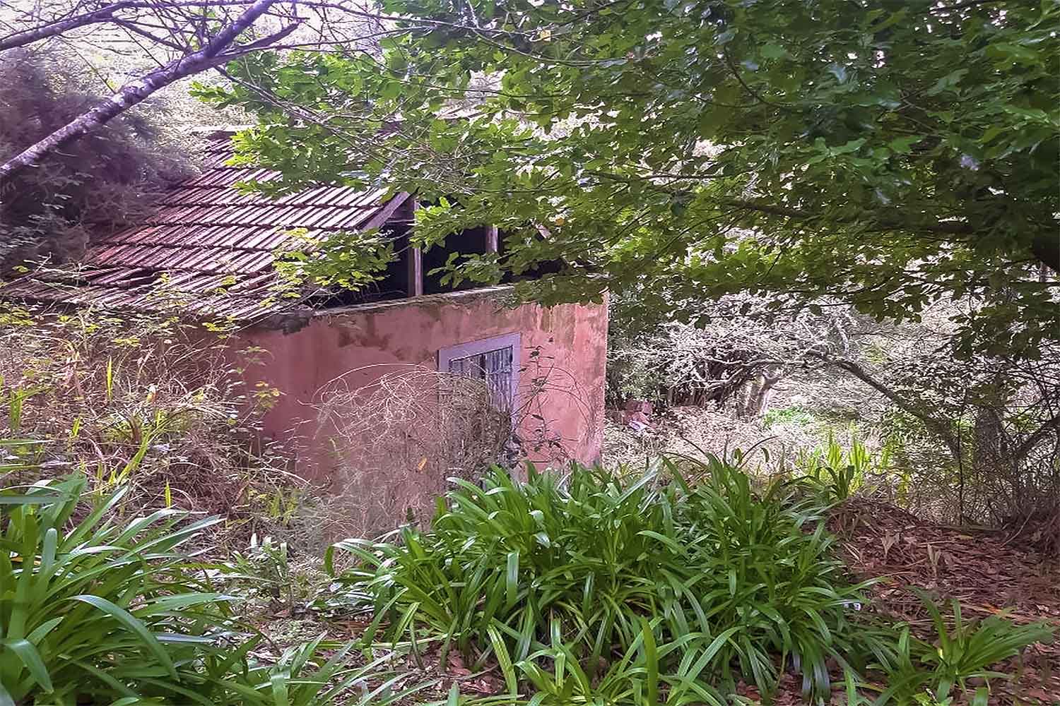 Levada da Serra do Faial – Camacha Walk