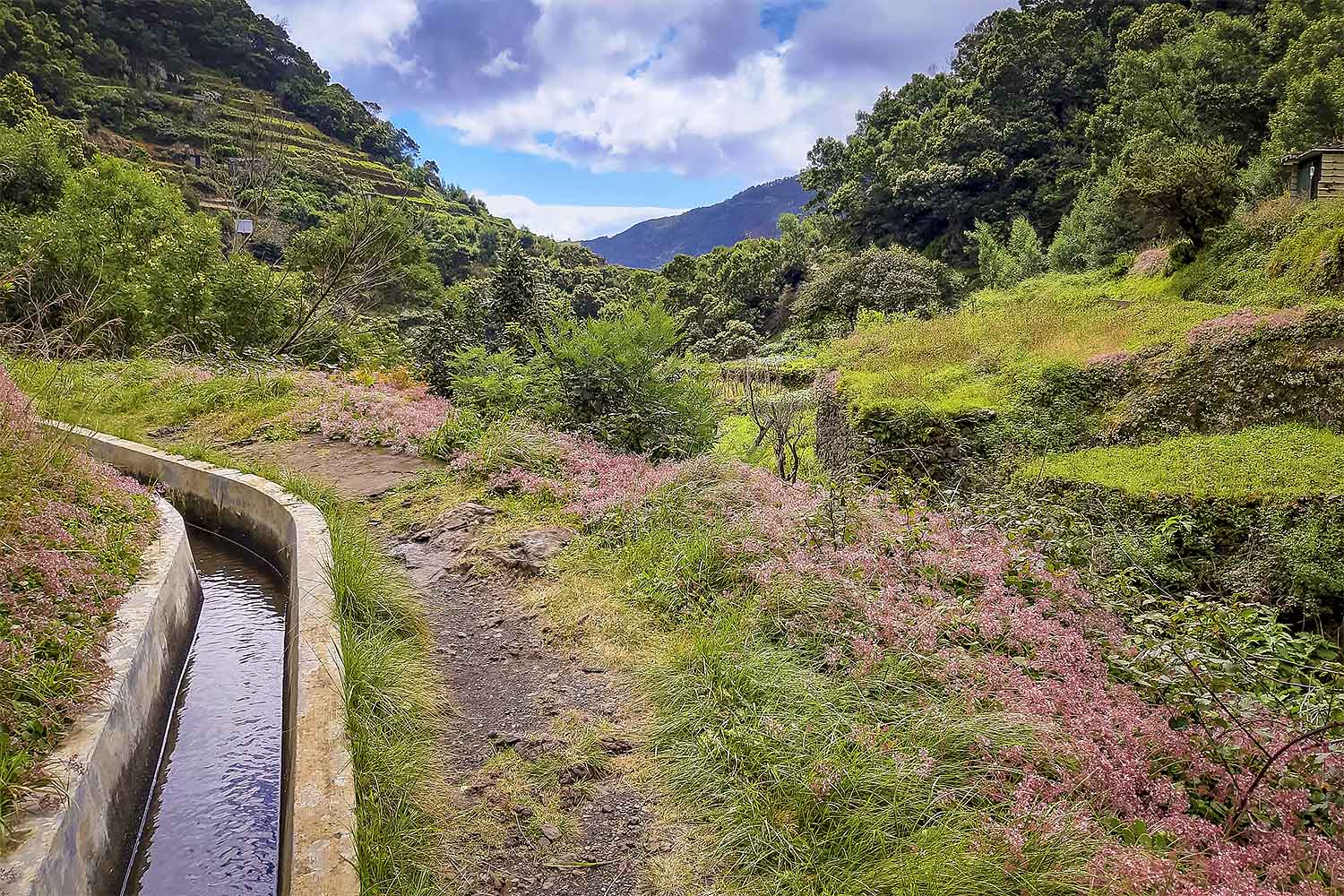 Levada do Caniçal – Machico Walk