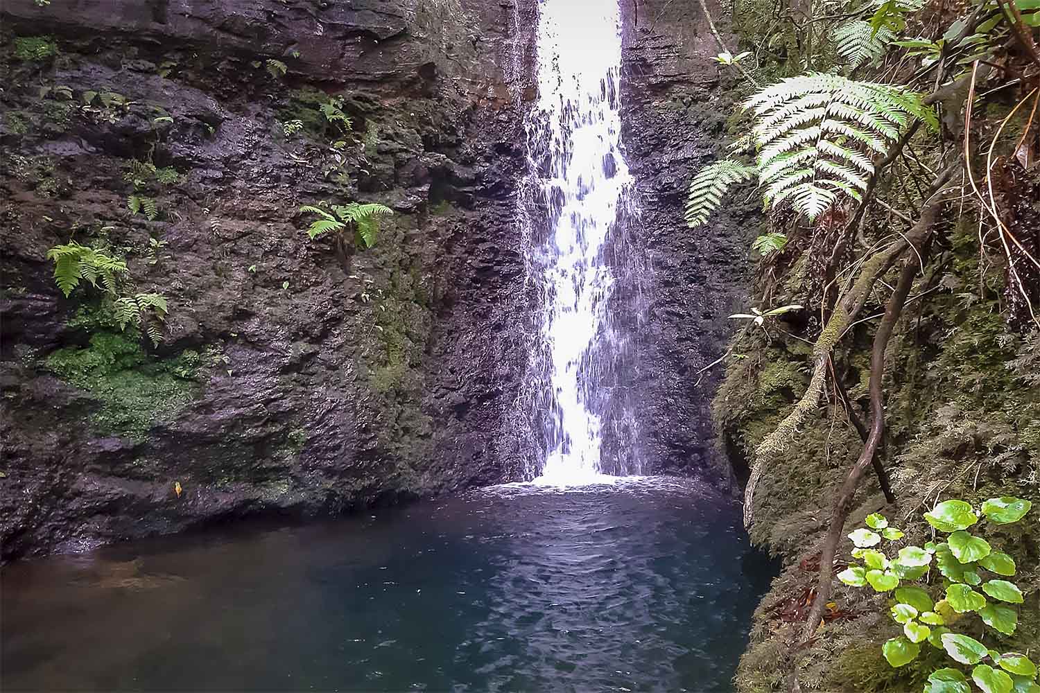 Levada do Moinho Walk