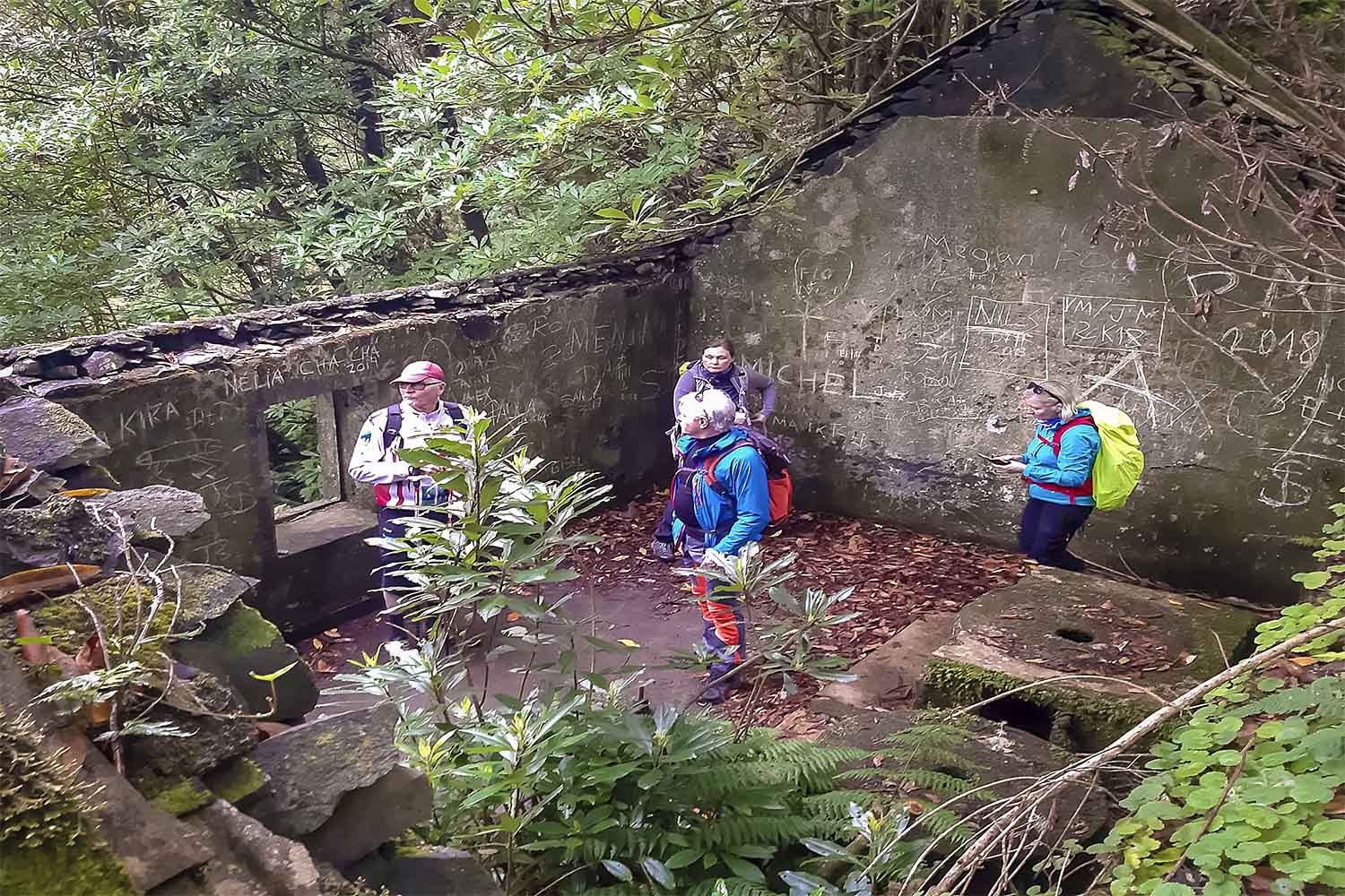 Levada do Moinho Walk