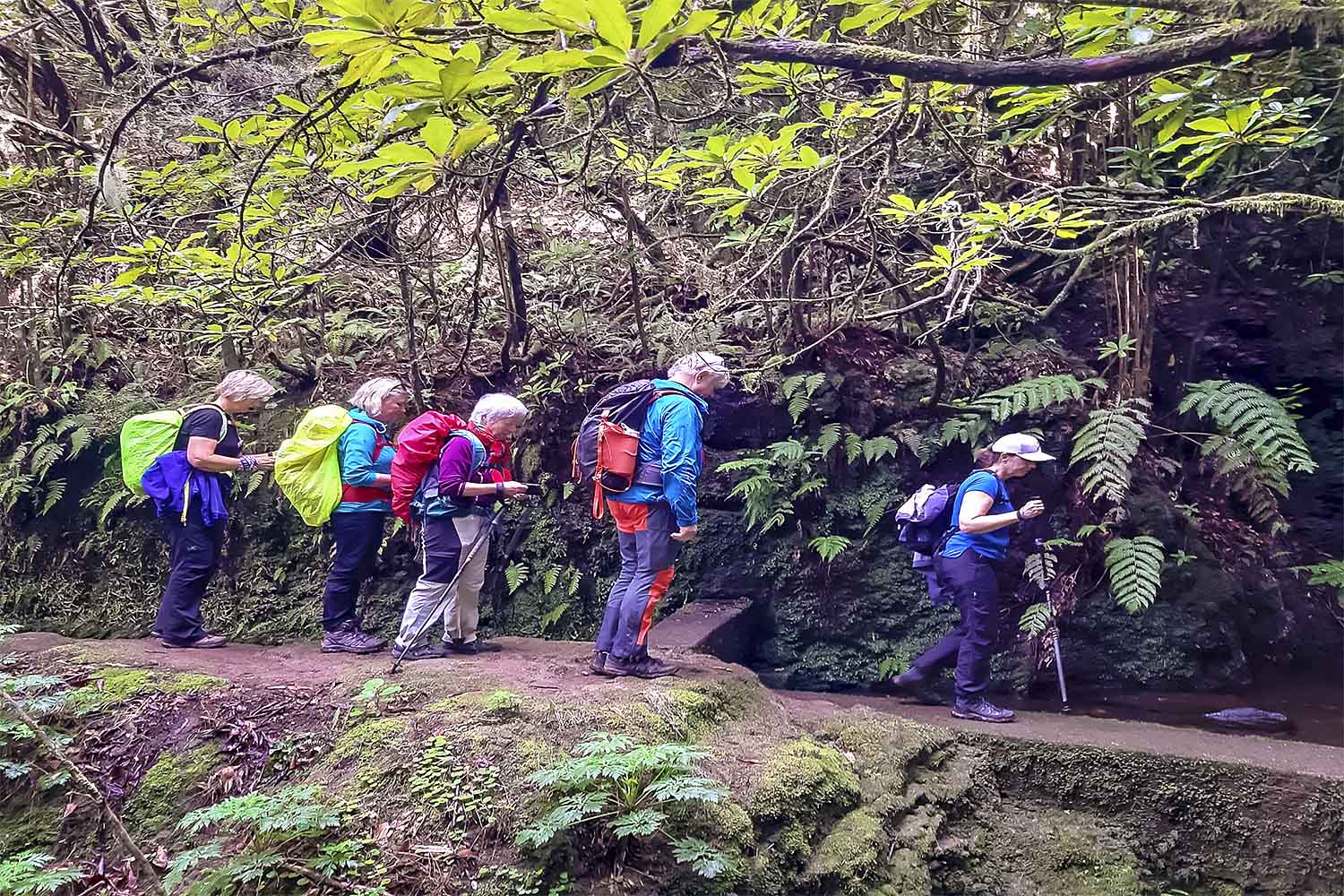 Levada do Moinho Walk