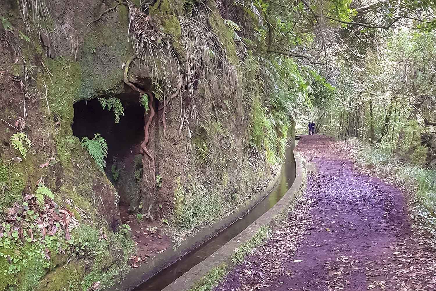 Levada do Rei Walk
