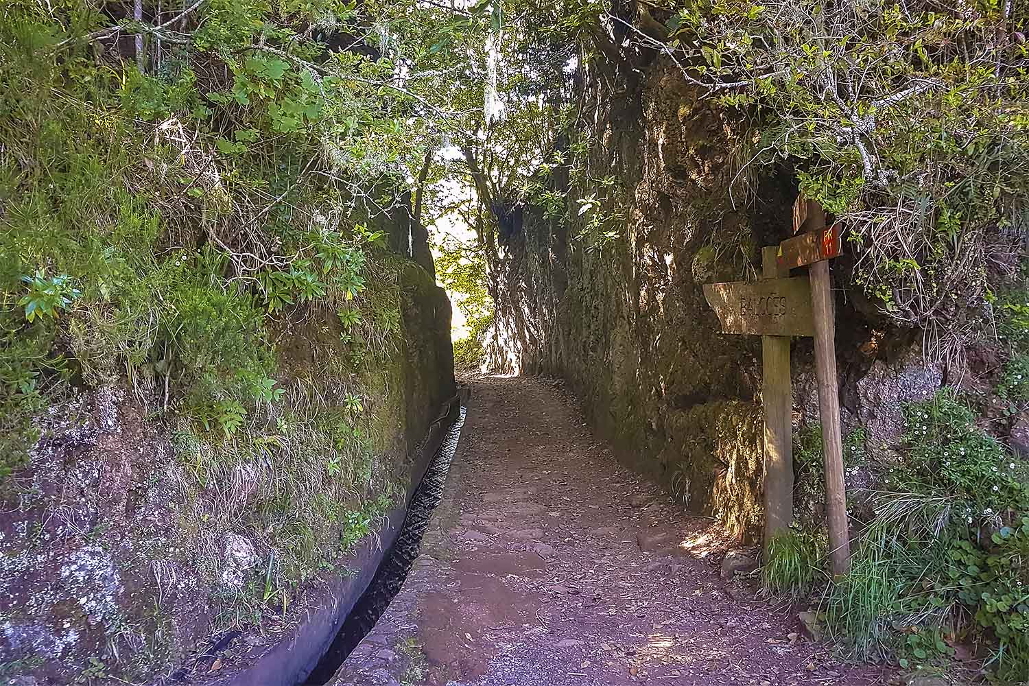 Levada dos Balcões Walk