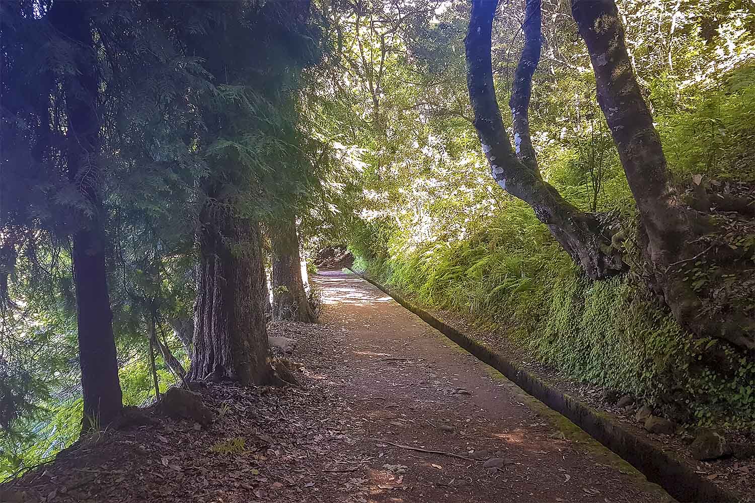 Levada dos Balcões Walk