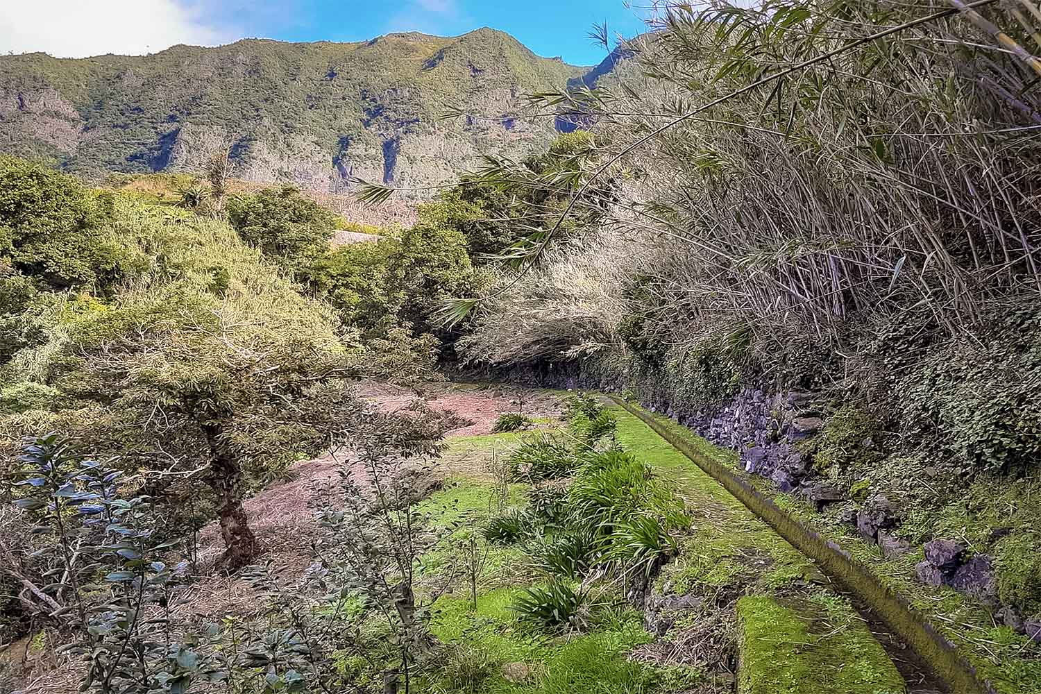 Levada dos Cardais Walk