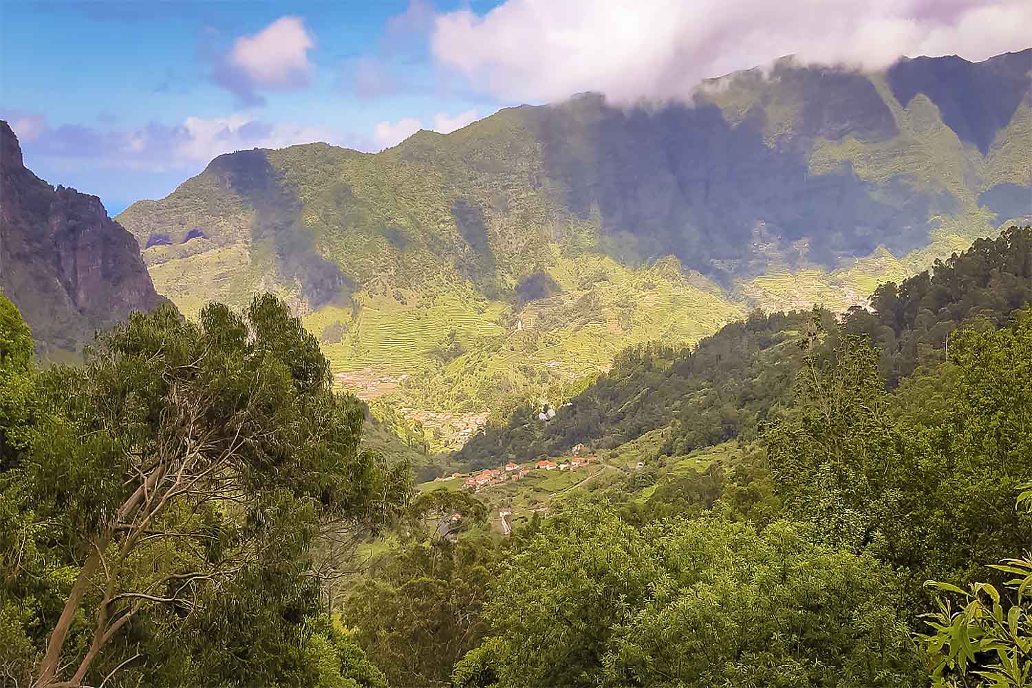 Levada Fajã dos Rodrigues Walk
