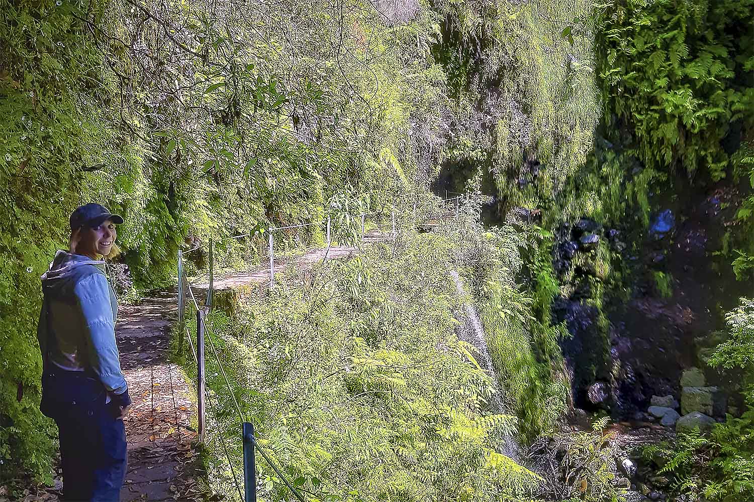 Levada Fajã dos Rodrigues Walk