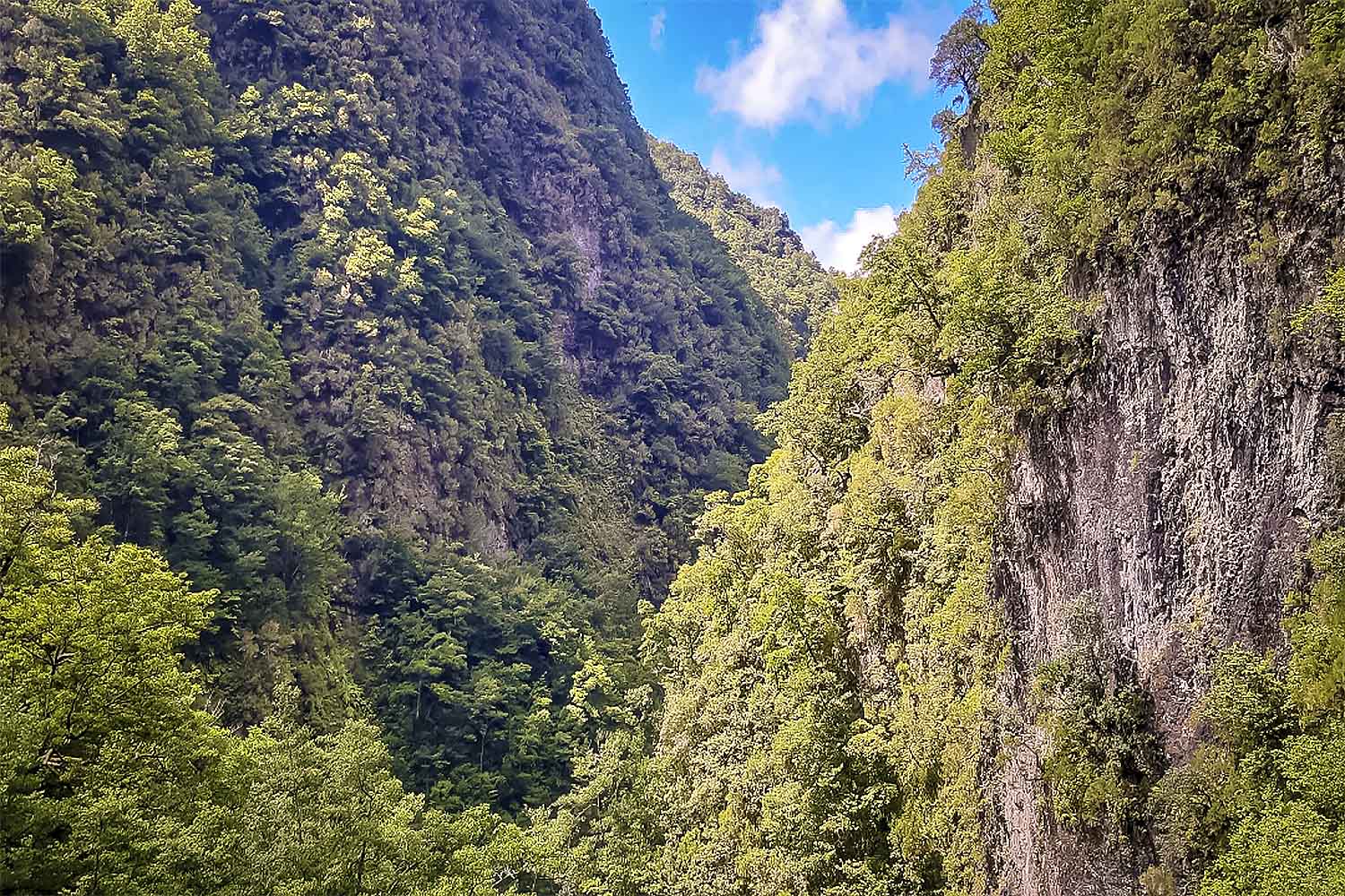Levada Fajã dos Rodrigues Walk