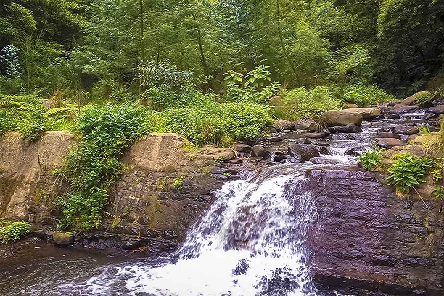 Levada Nova – Santo da Serra Walk