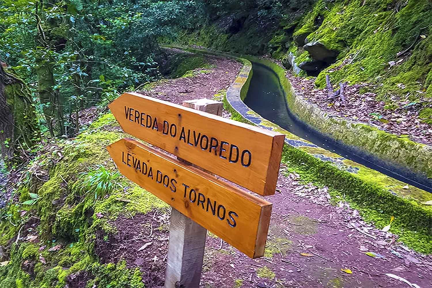 Levada Nova – Santo da Serra Walk