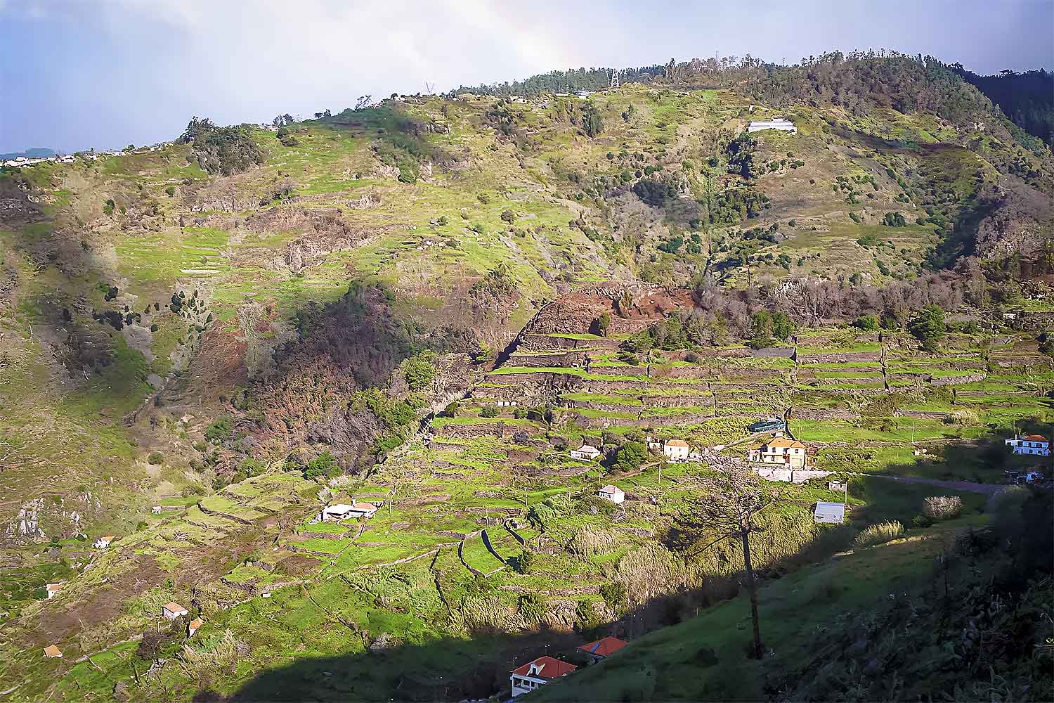 Levada Nova – Tabua Walk