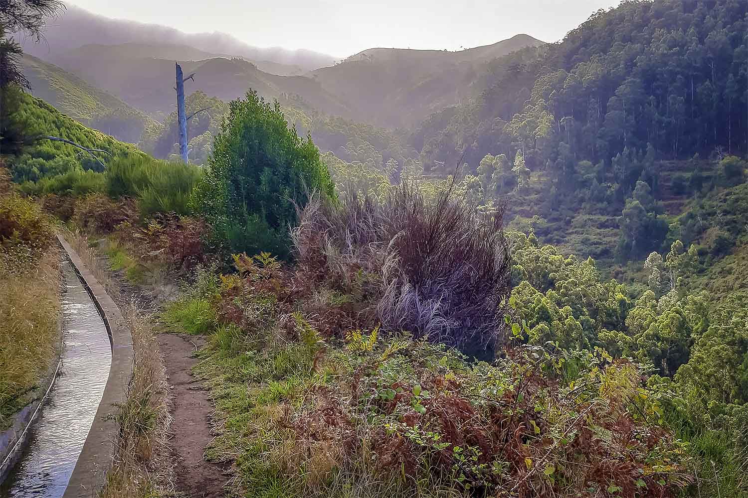 Levada Pedregal – Ponta do Pargo Walk