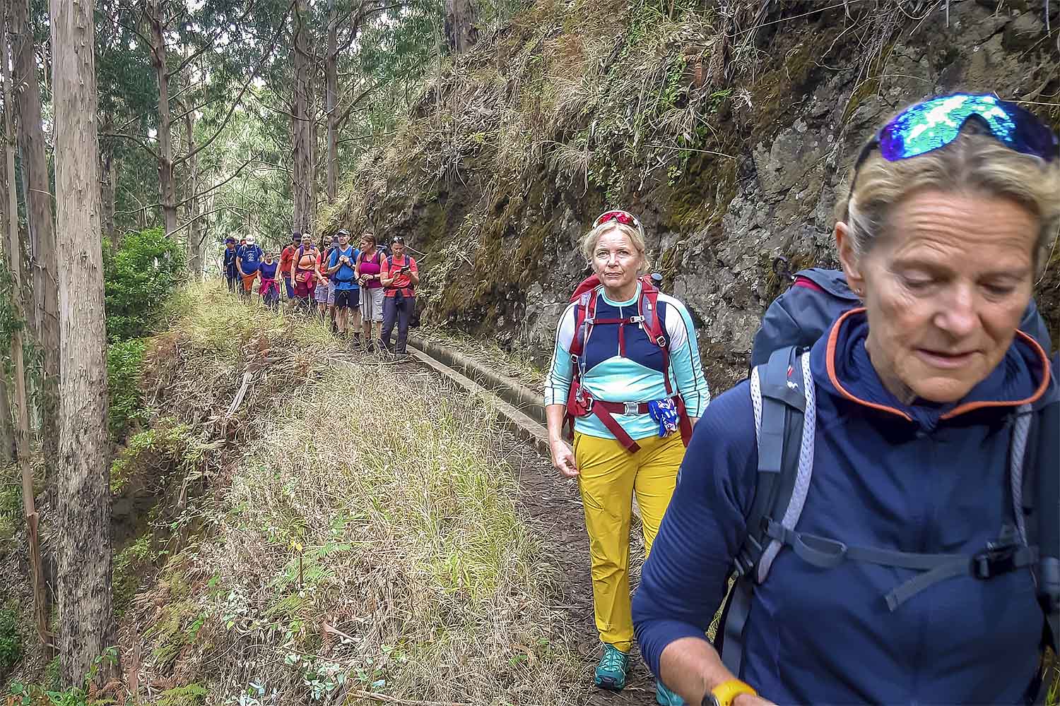 Levada Pedregal – Ponta do Pargo Walk