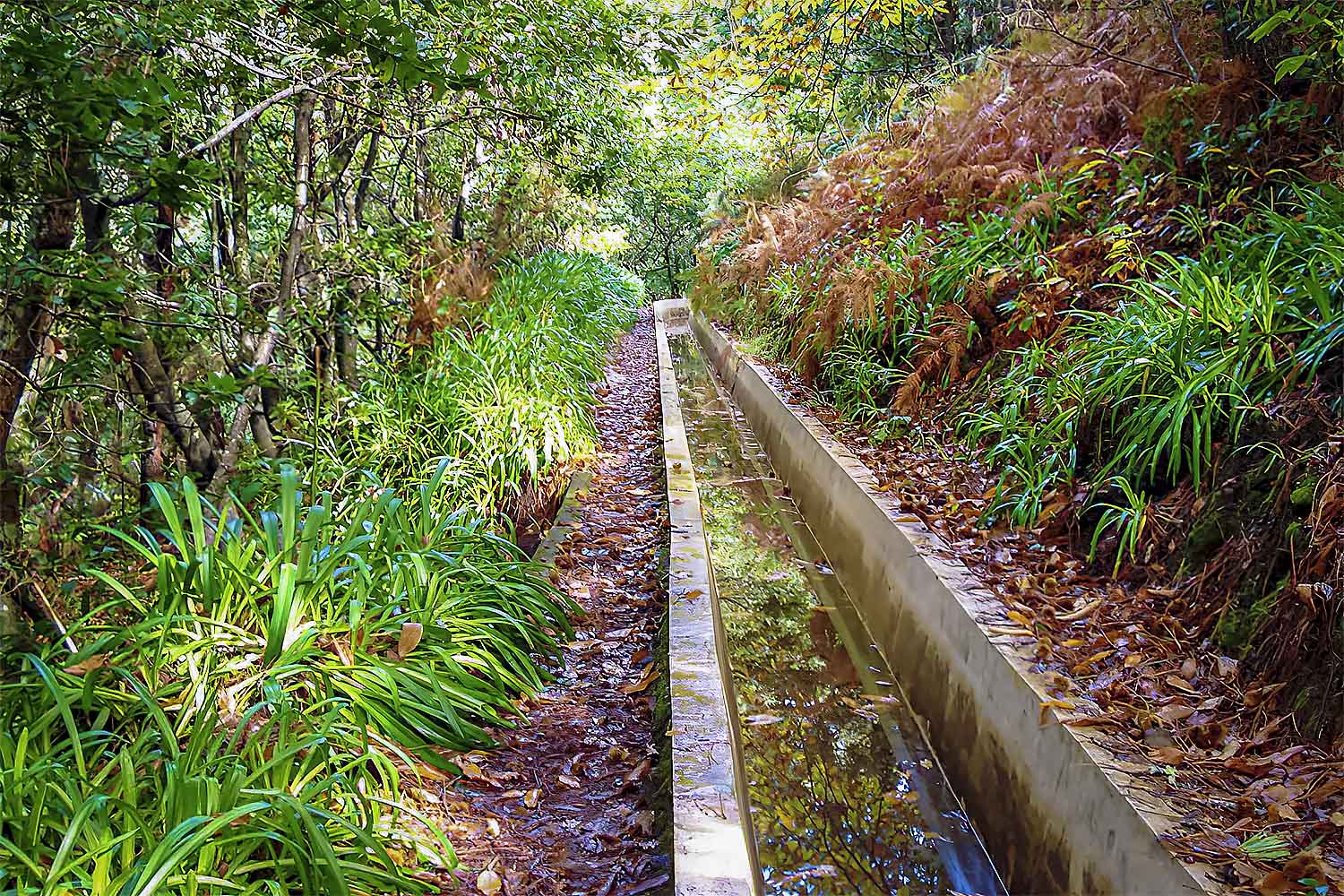 Levada Prazeres – Raposeira Walk