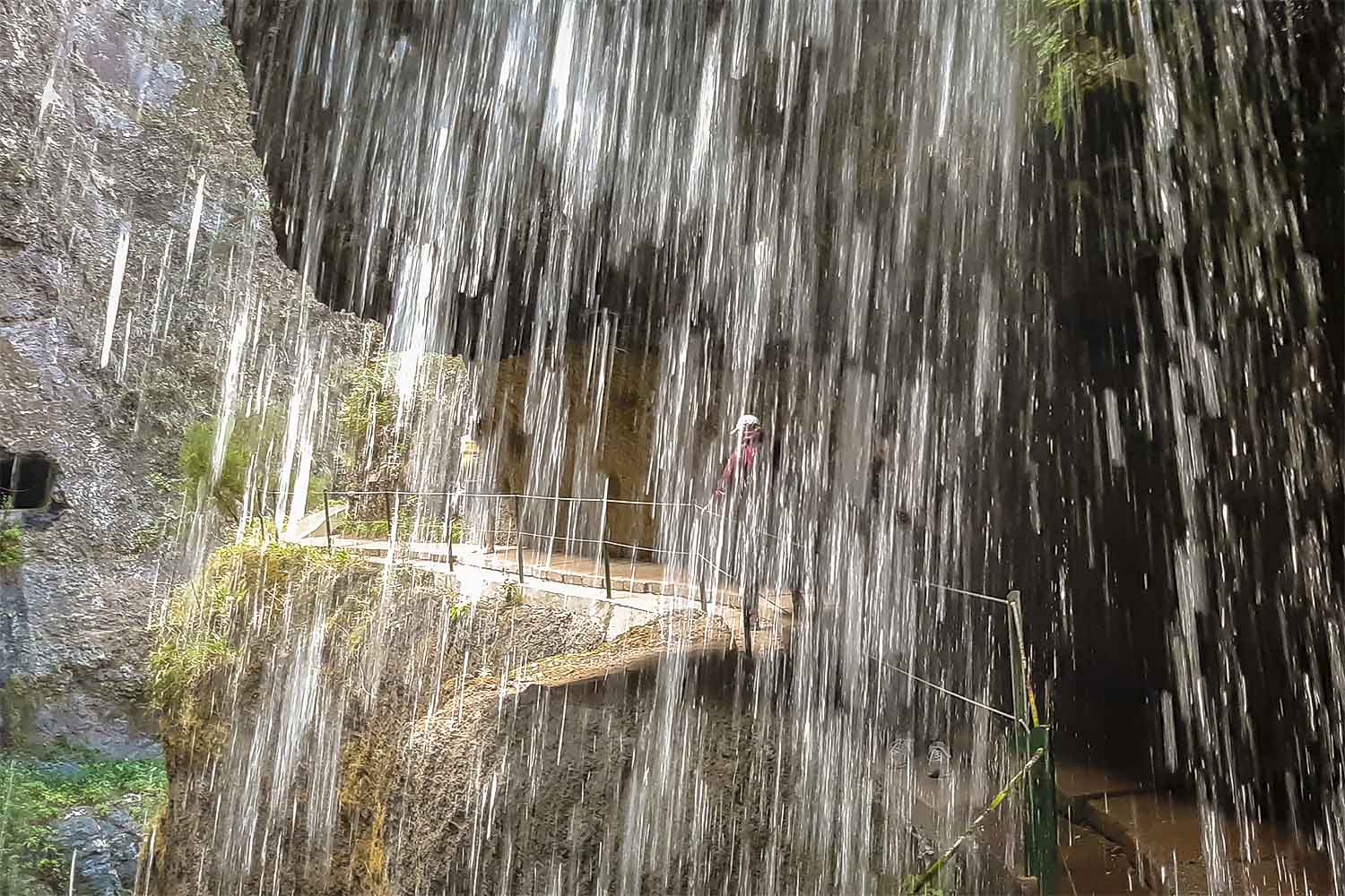 Moinho – Levada Nova Walk