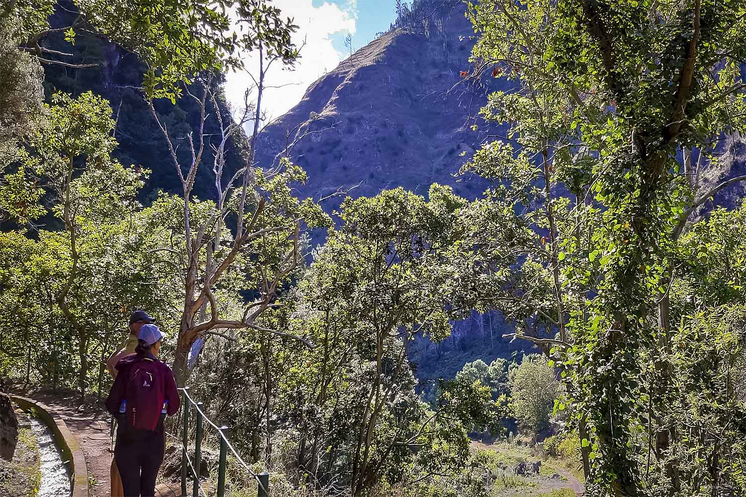 Moinho – Levada Nova Walk