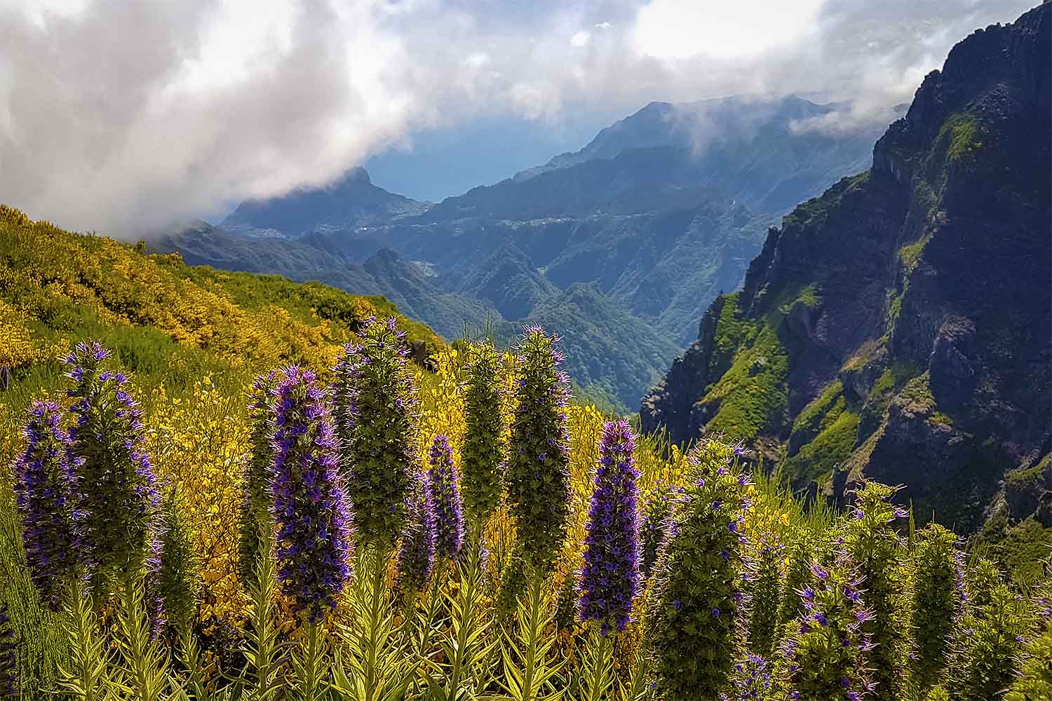 Pico Arieiro – Pico Ruivo Walk