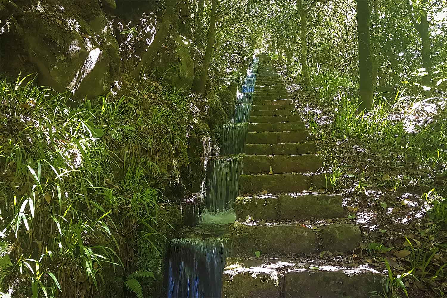 Ribeiro Frio – Chão das Feiteiras Walk