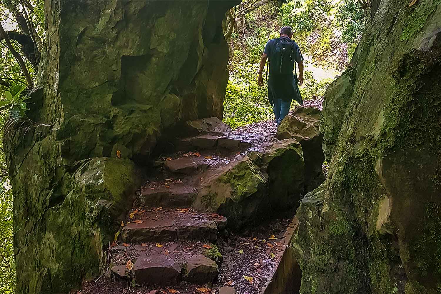 Santo da Serra – Ribeiro Frio Walk