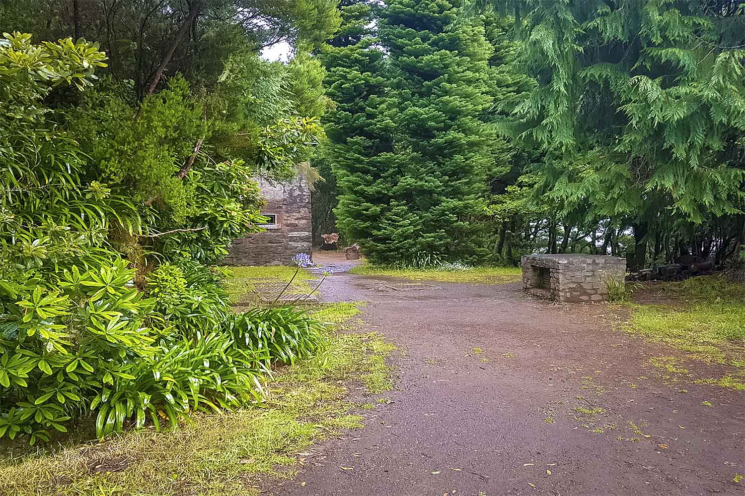 Santo da Serra – Ribeiro Frio Walk