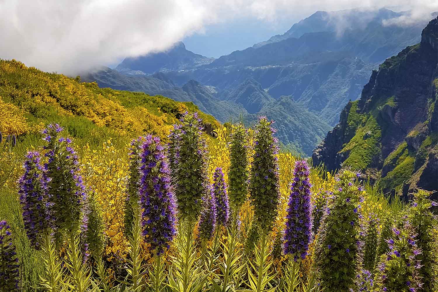 Sunrise Pico Arieiro – Pico Ruivo Walk