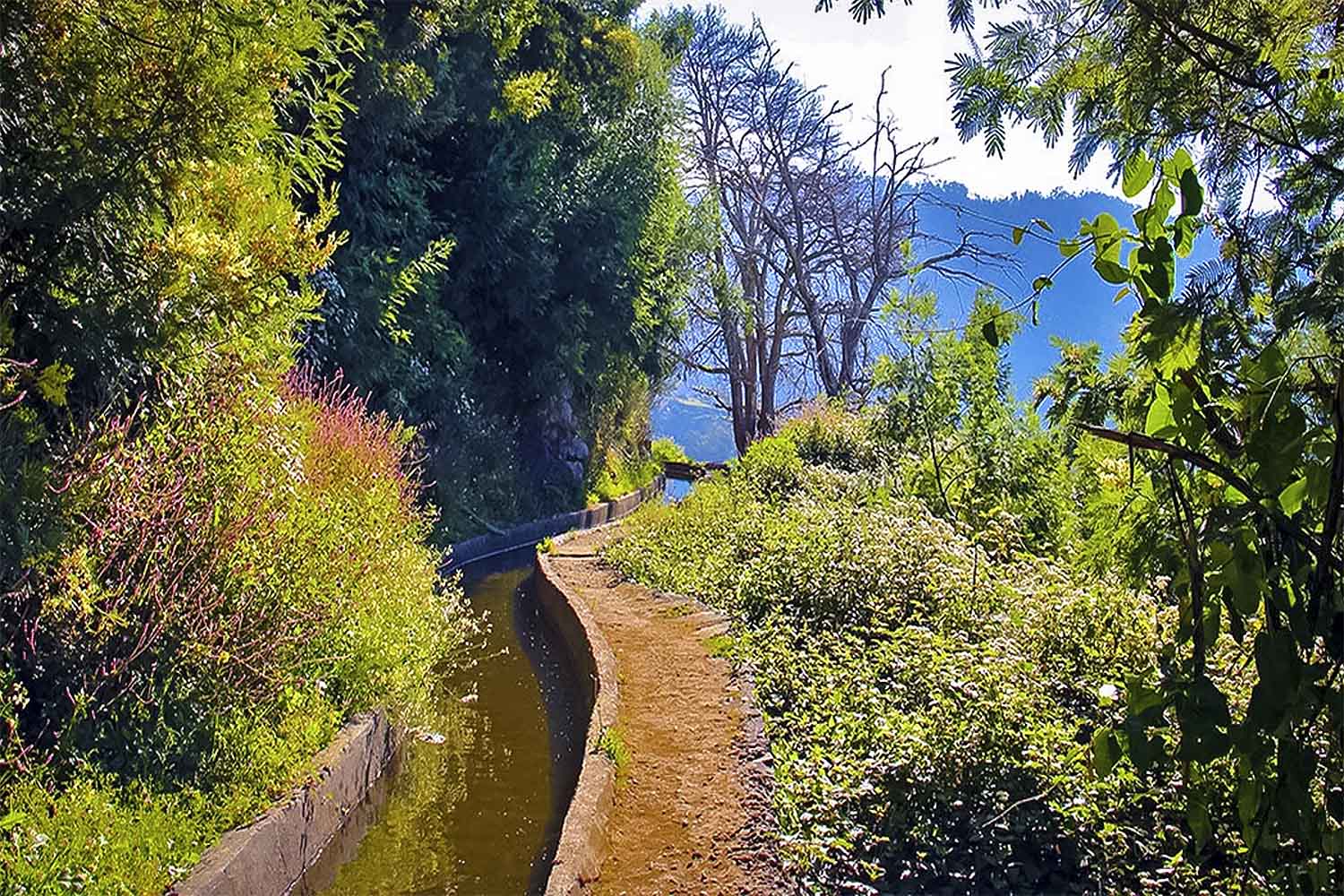 Vale da Serra de Água Walk